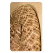 コナガガラガラヘビ マグネット (縦)