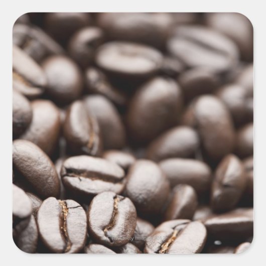 コナパープルマウンテンオーガニックコーヒー豆 スクエアシール (正面)