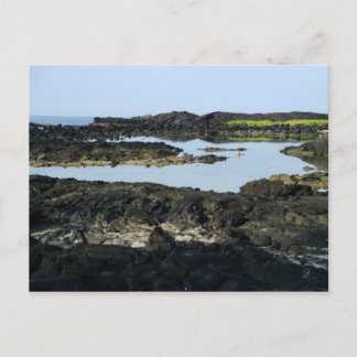 コナラヴァ ポストカード