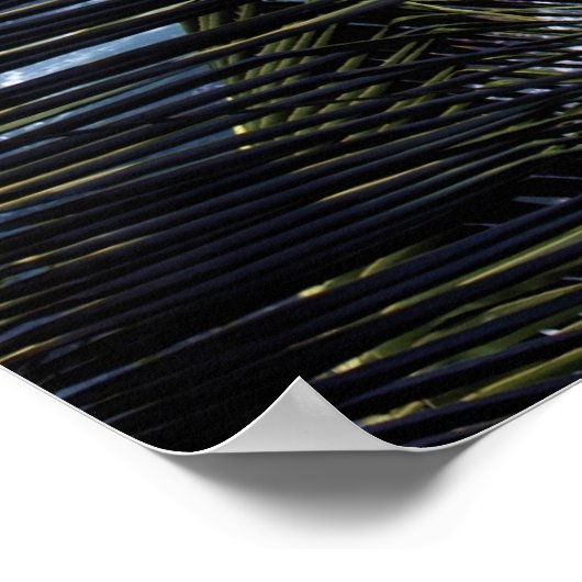 コナ海岸2 ポスター (角)