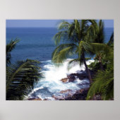 コナ海岸2 ポスター (正面)