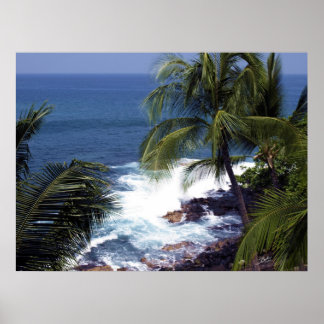 コナ海岸2 ポスター