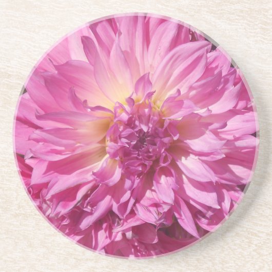 コニエ コースター (正面)