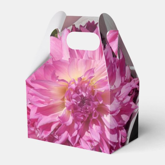 コニエ フェイバーボックス (正面サイド)