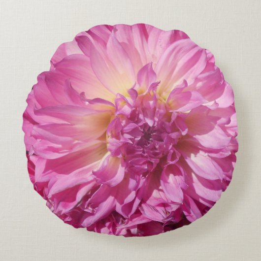 コニエ ラウンドクッション (正面)