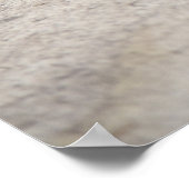 コニカオートレックスP ポスター (角)