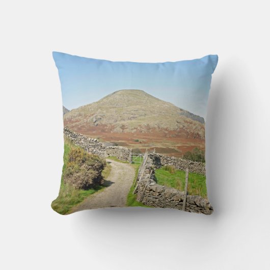 コニストンのはがきの老人 クッション (正面)