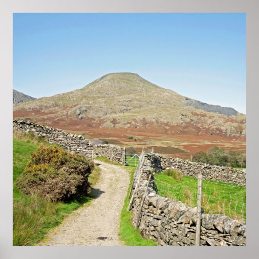 コニストン葉書クッションの老人 ポスター (正面)