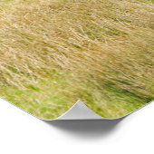 コニストン・ウォーター ポストカード クッション ポスター (角)