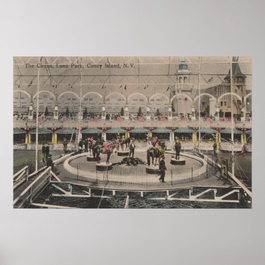 コニーアイランドNY – ルナパークサーカス法 ポスター (正面)