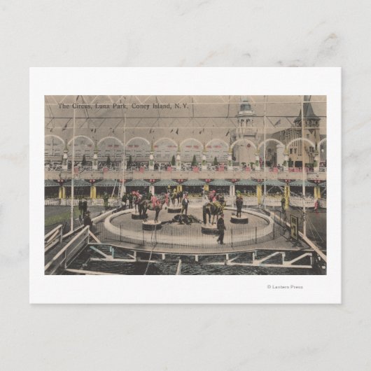 コニーアイランドNY – ルナパークサーカス法 ポストカード (正面)