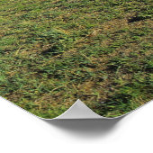 コネストガワゴンatスコッツブラフ全国 ポスター (角)