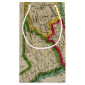 コネチカットの地図 スモールペーパーバッグ (裏面)