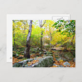 コネチカットの秋 ポストカード (正面/裏面)