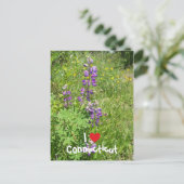 コネチカット大好き ポストカード (スタンド正面)