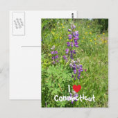 コネチカット大好き ポストカード (正面/裏面)