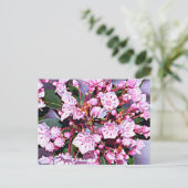 コネチカット山ローレル ポストカード (スタンド正面)