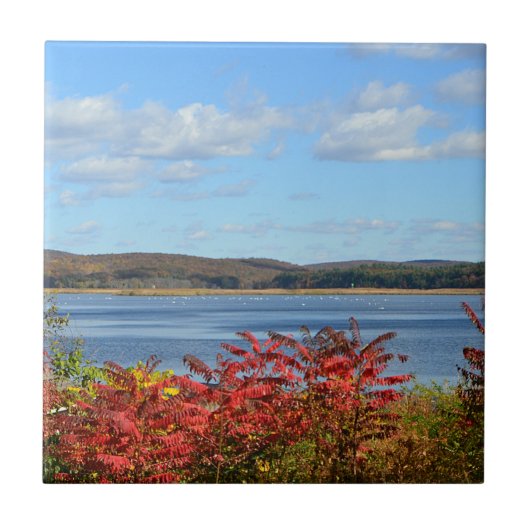 コネチカット川タイル タイル (正面)