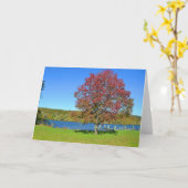 コネチカット川ノテカード カード (黄色い花)