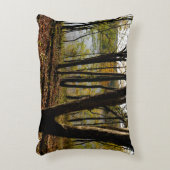 コネチカット川 アクセントクッション (正面(垂直))