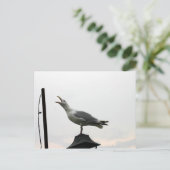 コネチカット州の歌うカモメ ポストカード (スタンド正面)