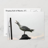 コネチカット州の歌うカモメ ポストカード (正面/裏面)