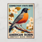 コネチカット州の鳥 - アメリカコマツグミ ビンテージ ポストカード (正面)