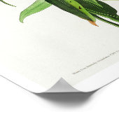 コネチカット州ウォーブラーバイアウドゥボンポスター ポスター (角)