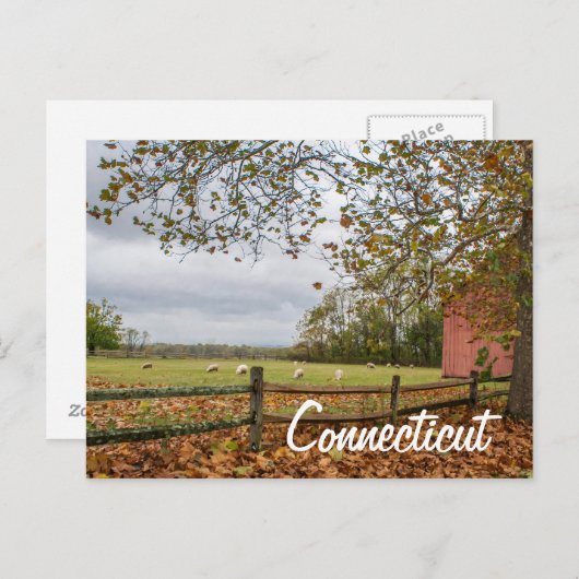 コネチカット州カントリーファームハガキ ポストカード (正面/裏面)