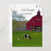 コネチカット州ノースストーニントンのポストカード ポストカード (正面/裏面)