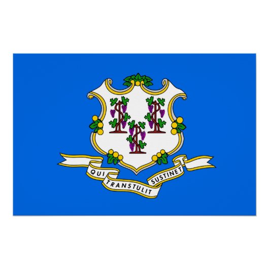 コネチカット州旗の愛国的な壁のポスター ポスター (正面)