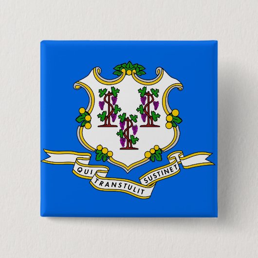 コネチカット州旗を持つボタン 缶バッジ (正面)