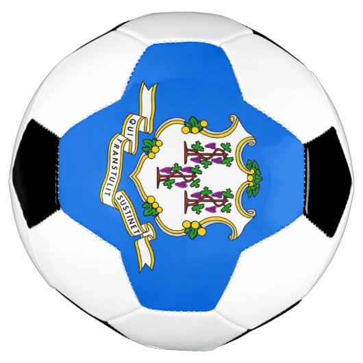 コネチカット州旗を持つ愛国的なサッカーボール サッカーボール (回転)