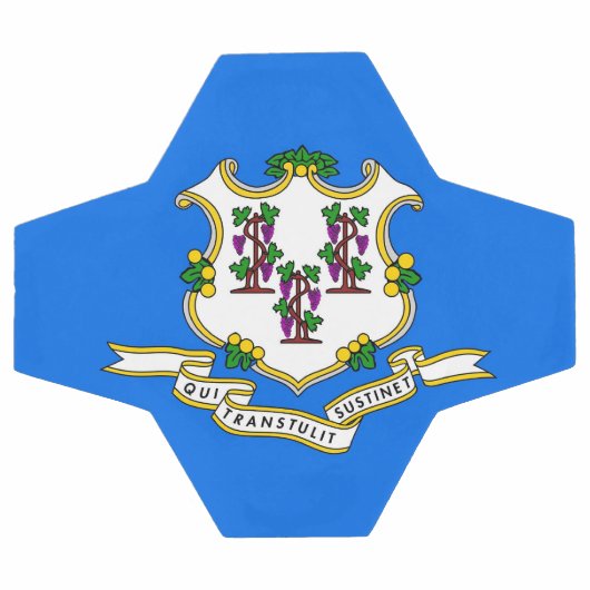 コネチカット州旗を持つ愛国的なサッカーボール サッカーボール (フラット)