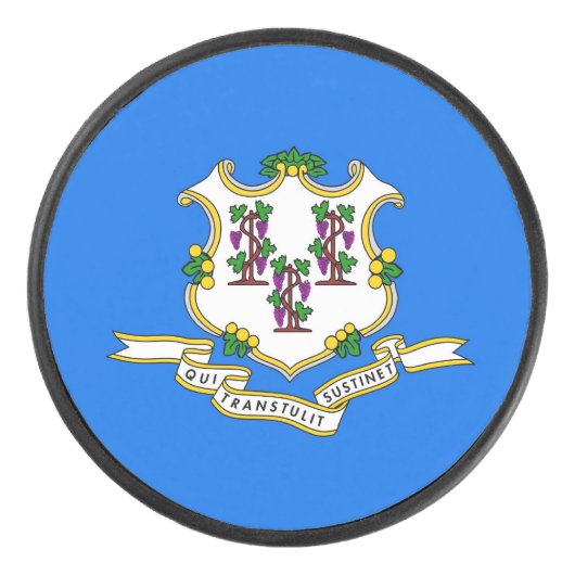 コネチカット州旗を持つ愛国的なホッケーパック アイスホッケーパック (正面)