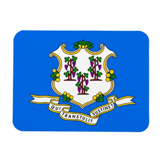 コネチカット州旗を持つ愛国的な柔軟な磁石 マグネット (横)