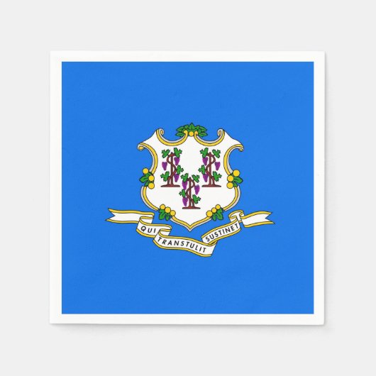 コネチカット州旗を持つ愛国的な紙ナプキン スタンダードカクテルナプキン (正面)