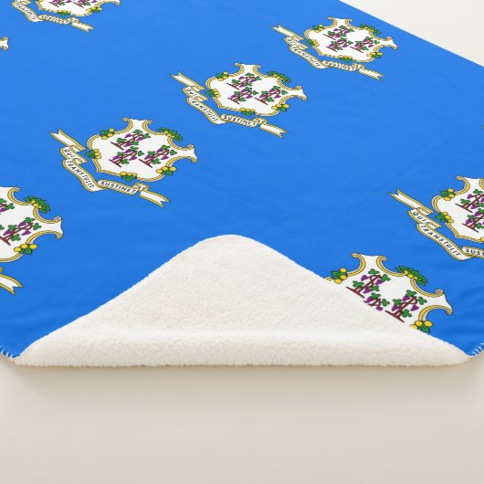 コネチカット州旗を持つ愛国的シェルパ毛布 シェルパブランケット (3/4)