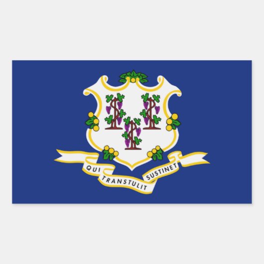 コネチカット州旗ステッカー 長方形シール (正面)