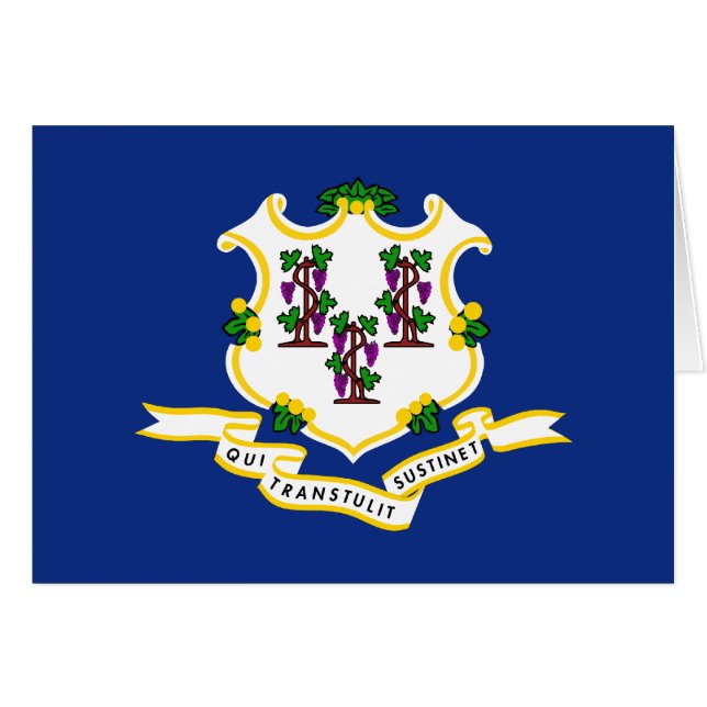 コネチカット州旗 (正面横)