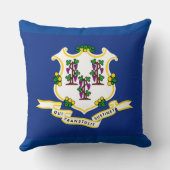 コネチカット州旗 クッション (裏面)