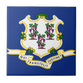 コネチカット州旗 タイル (正面)