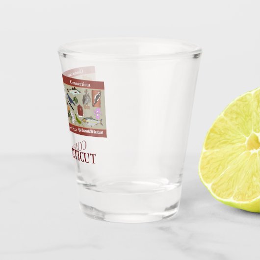 コネチカット州記念撮影ガラス ショットグラス (右)
