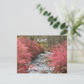 コネチカット州，ケント ポストカード (スタンド正面)