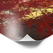 コネチカット州:ダリ日本のエン、カエデ「Acer」 フォトプリント (角)