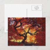 コネチカット州：ダリ日本のエン、カエデ「Acer」 ポストカード (正面/裏面)