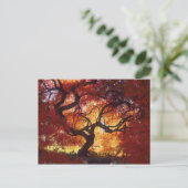 コネチカット州：ダリ日本のエン、カエデ「Acer」 ポストカード (スタンド正面)