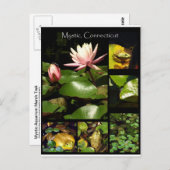 コネチカット州，ミスティック ポストカード (正面/裏面)