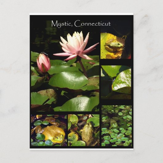 コネチカット州，ミスティック ポストカード (正面)