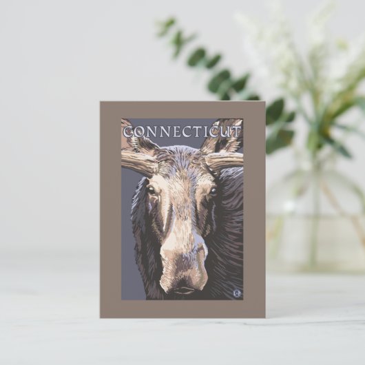 コネチカット州 ムースのクローズアップ ポストカード (スタンド正面)